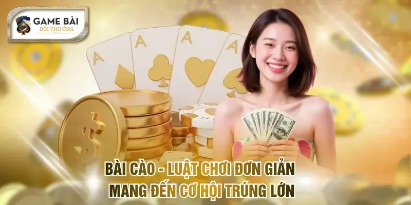 Bài Cào