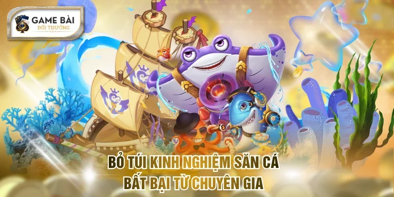 Bỏ túi kinh nghiệm săn cá bất bại từ chuyên gia