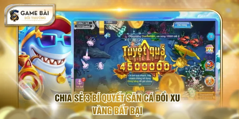 Chia sẻ 3 bí quyết săn cá đổi xu vàng bất bại