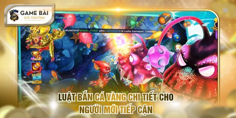 Luật bắn cá vàng chi tiết cho người mới tiếp cận